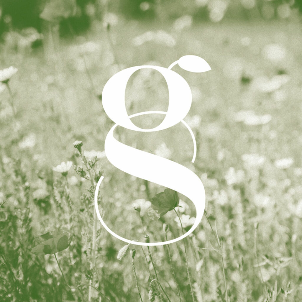 Couverture projet Graine de santés